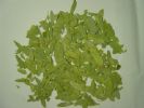 Sanna Leaf Extract